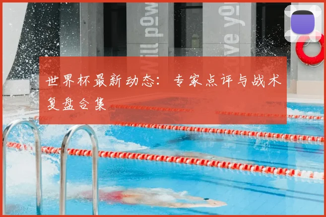 世界杯最新动态：专家点评与战术复盘合集