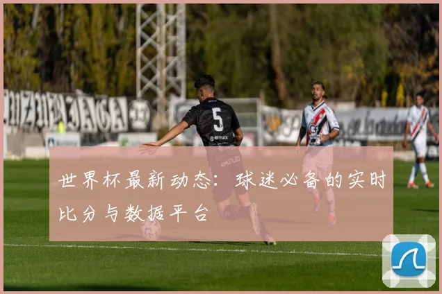 世界杯最新动态:球迷必备的实时比分与数据平台