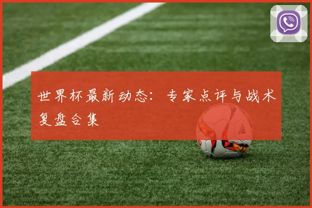 世界杯最新动态:专家点评与战术复盘合集